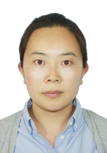 面向图像分类DNN的测试方法